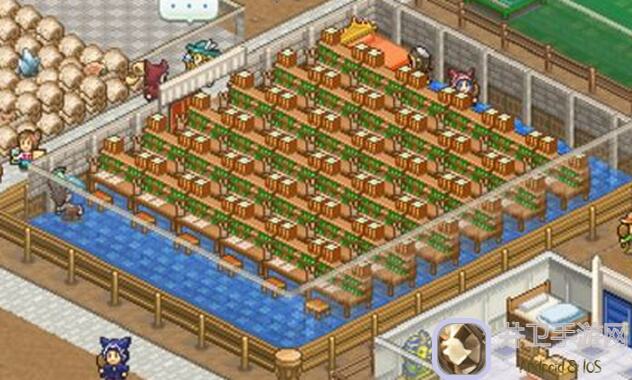 神级10分钟攻略：王都创世录新手必备技巧大揭秘